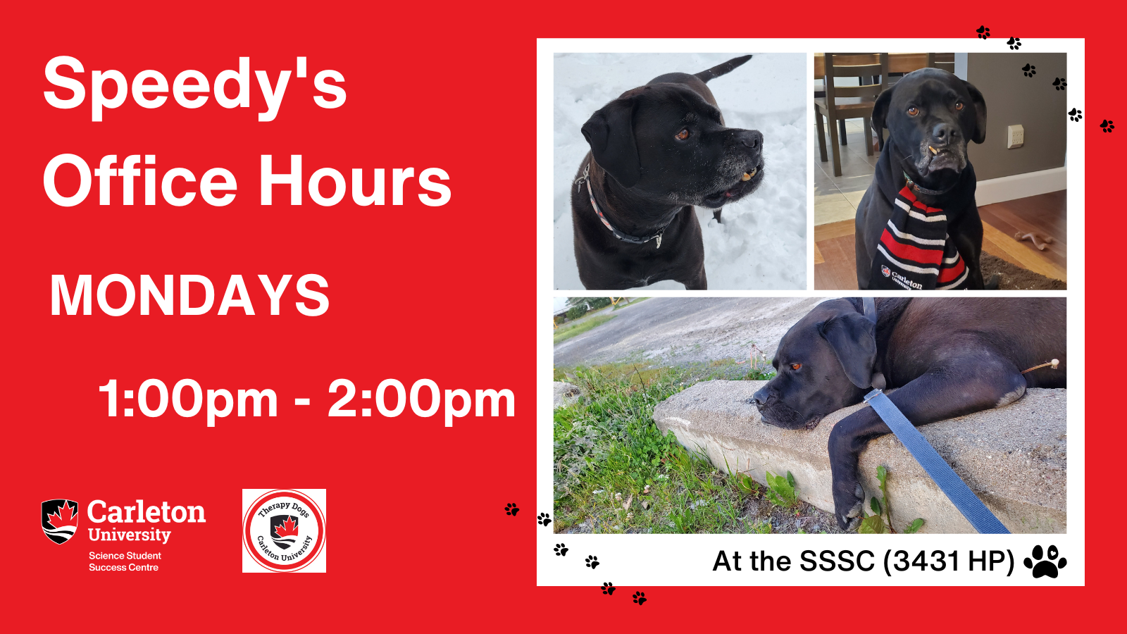 Poster with text. Collage of photos. Three photos shown of CUTherapy Dog, Speedy, in a grid formation on the left. One of him standing in the snow, another with him sitting at home with a Carleton University scarf around his neck, lastly Speedy laying down at a park watching a baseball game. Text on the right reads: Speedy's Office Hours, MONDAYS 1:00pm to 2:00pm At the SSSC (3431 HP). Carleton University Science Student Success Centre, Therapy Dogs Carleton University.