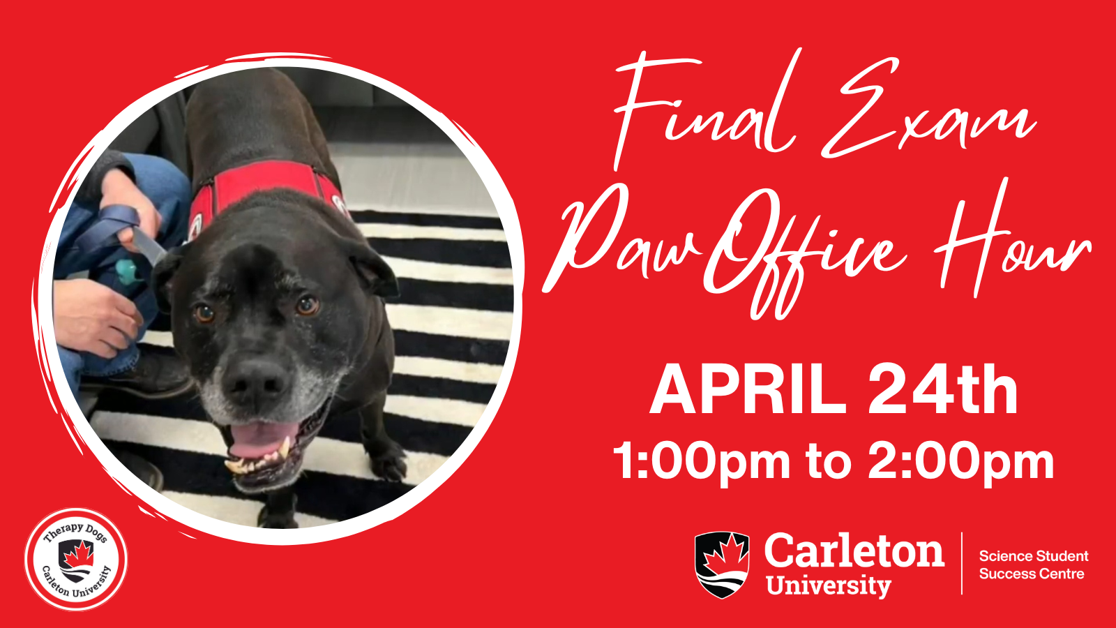 Title reads in cursive on the right of the poster: Final Exam PawOffice Hour. APRIL 24th 1:00pm to 2:00pm. On the left in a white circle is a photo of CUTherapy Dog, Speedy. Bottom left corner shows Therapy Dogs Carleton University logo. Bottom right corner shows Carleton University Science Student Success Centre logo. 