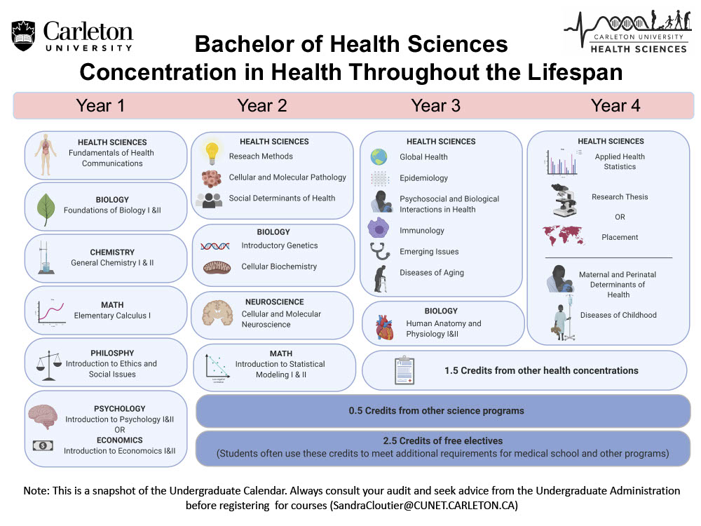 Course Map for Bachelor of Health Sciences Concentration in Health Throughout the Lifespan