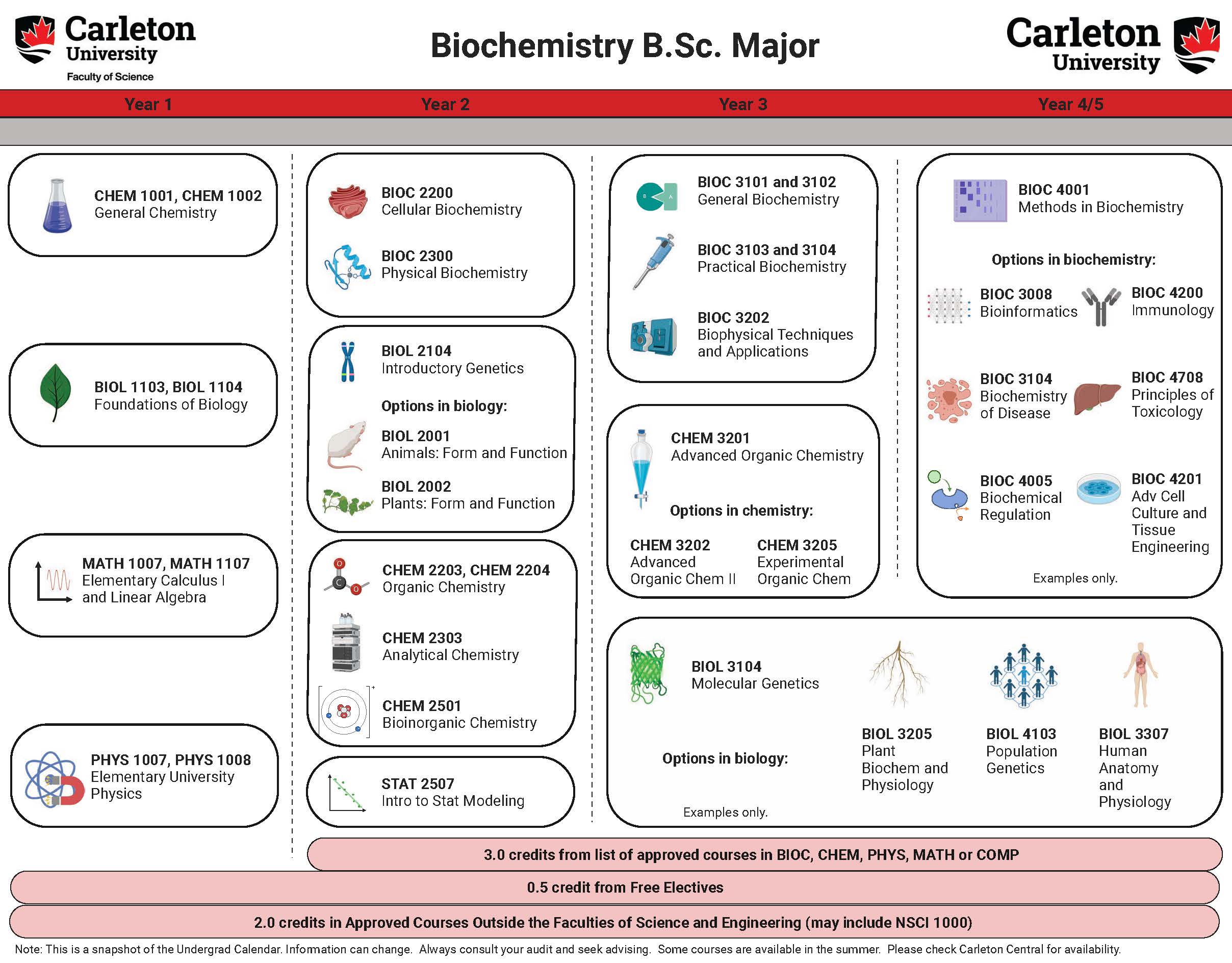 Course Map for Biochemistry BSc. Major.