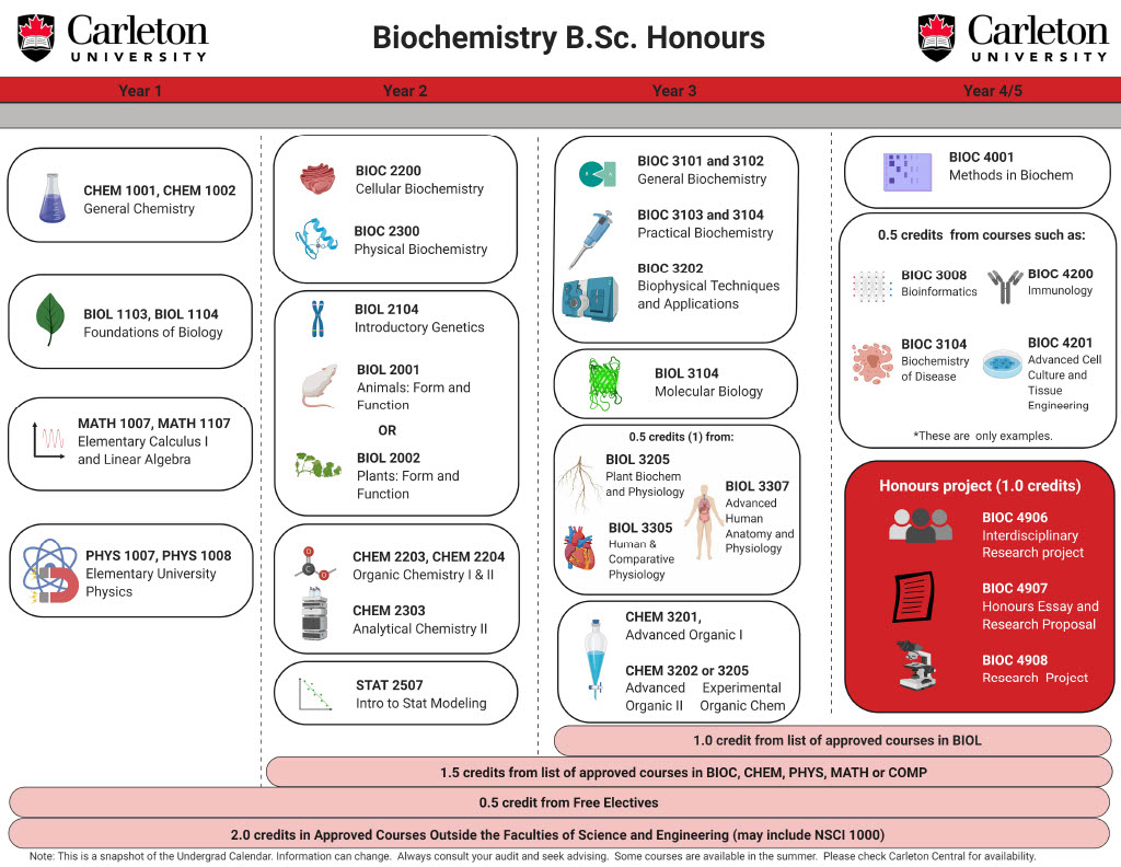 Course map for a Biochemistry Degree