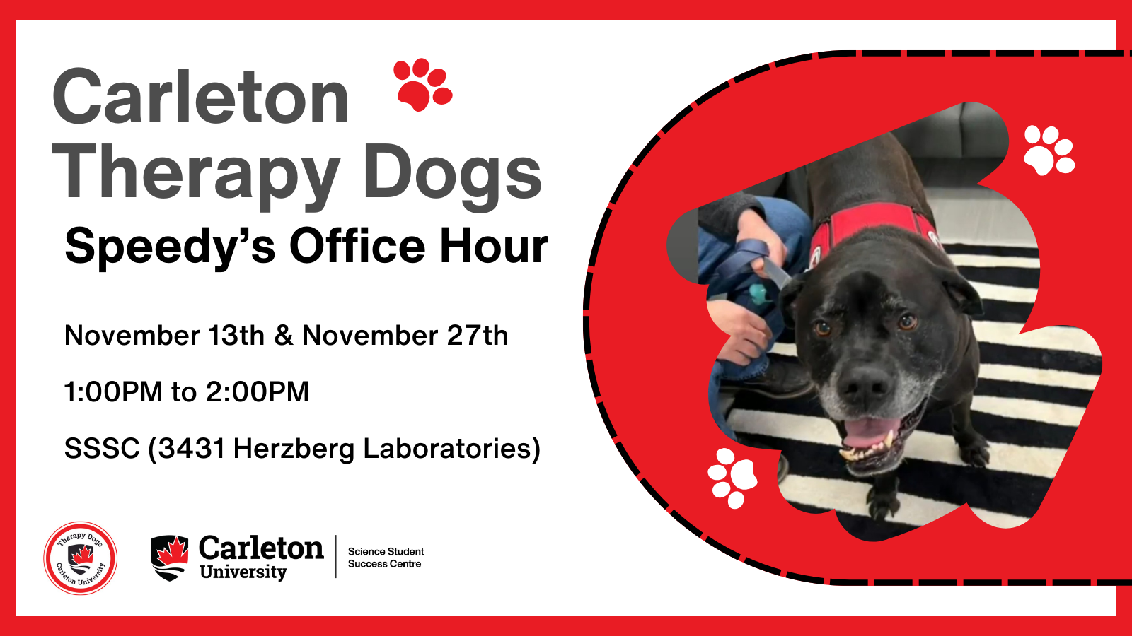 Graphic created for Carleton Therapy Dogs - Speedy's Office Hour. Text reads: Carleton Therapy Dogs Speedy's Office Hour. November 13th & November 27th, 1:00PM to 2:00PM, SSSC (3431 Herzberg Laboratories). Picture of Speedy shown.