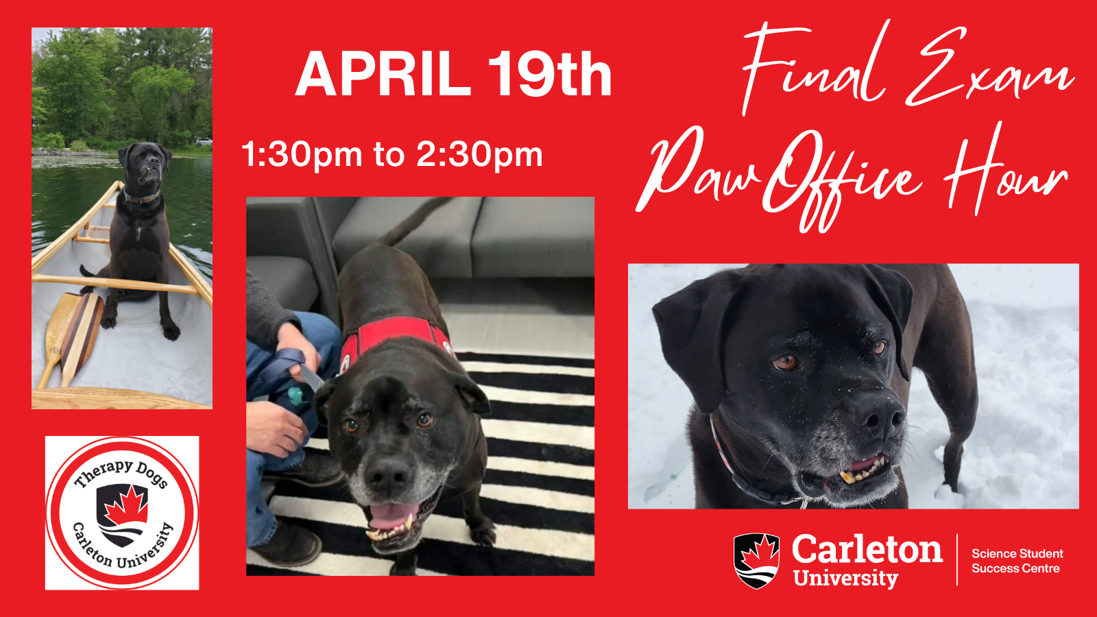 Poster with text. Red background. Title shown in cursive in the top right corner: Final Exam Paw Office Hour. Text reads: APRIL 19th 1:30pm to 2:30pm. Three panels of photos shown of Speedy, CUTherapy Dog. Therapy Dogs, Carleton University logo. Carleton University, Science Student Success Centre logo. 