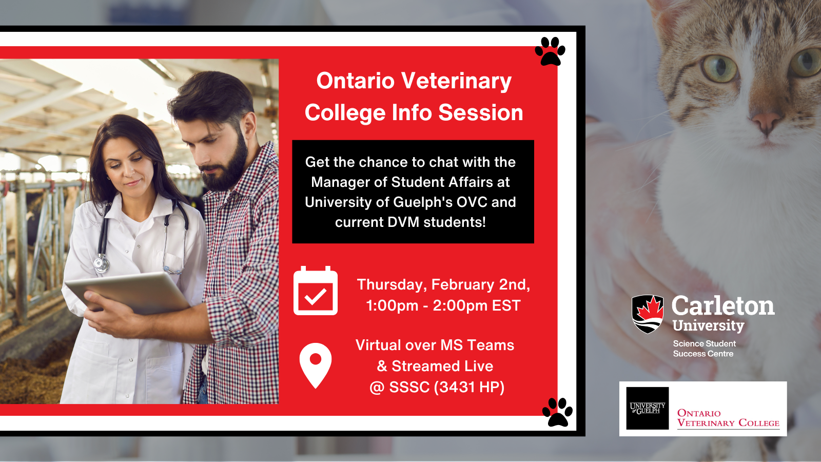 Poster with text. Background image of a cat sitting on a table, held by a veterinarian. Text above and below an image shown in a red box square off to the left with a thick white border then an outer black border. Text above reads: Ontario Veterinary College Info Session. Get the chance to chat with the Manager of Student Affairs at University of Guelph's OVC and current DVM students! Another image shown of a vet and a farmer looking over a clipboard with cows in the background. Text below reads: Thursday, February 2nd, 1:00pm - 2:00pm EST. Virtual over MS Teams & Streamed Live @ SSSC (3431 HP). Carleton University, Science Student Success Centre. University of Guelph, Ontario Veterinary College.