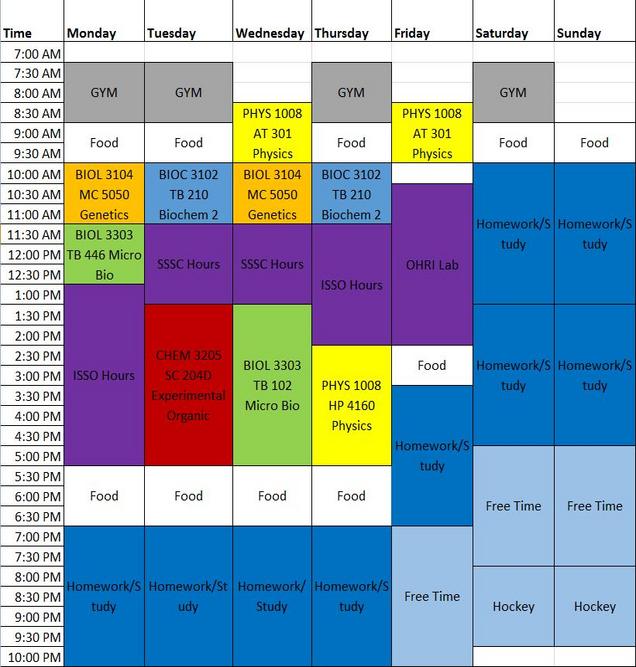 Sample student schedule