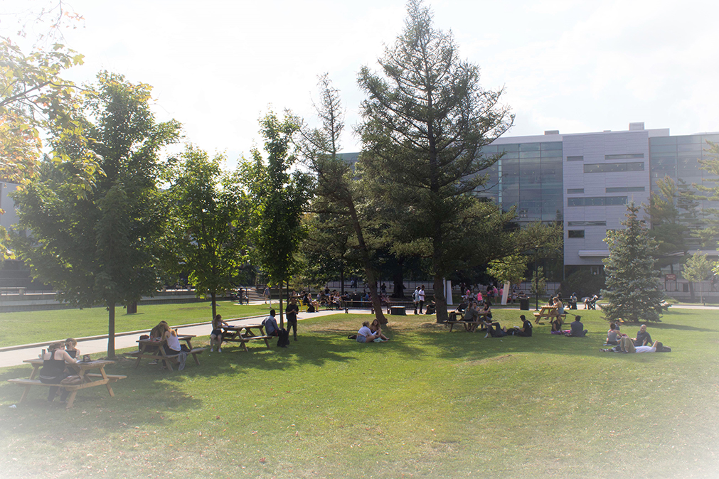 Students in the Quad at Carleton